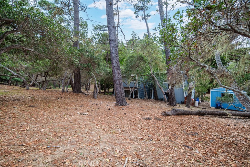 1730 Langton, Cambria, CA 93428