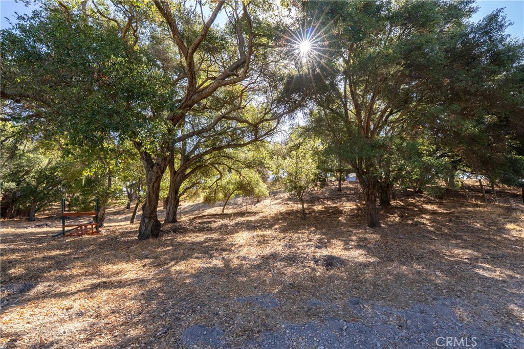3880 Ardilla, Atascadero, CA 93422