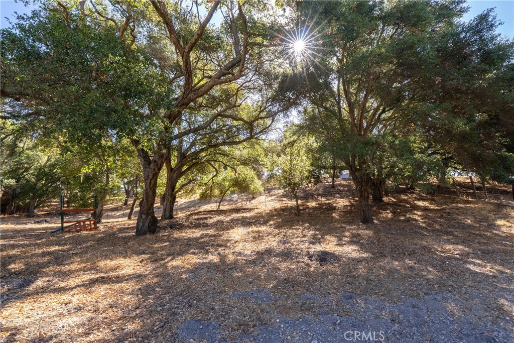 3880 Ardilla, Atascadero, CA 93422