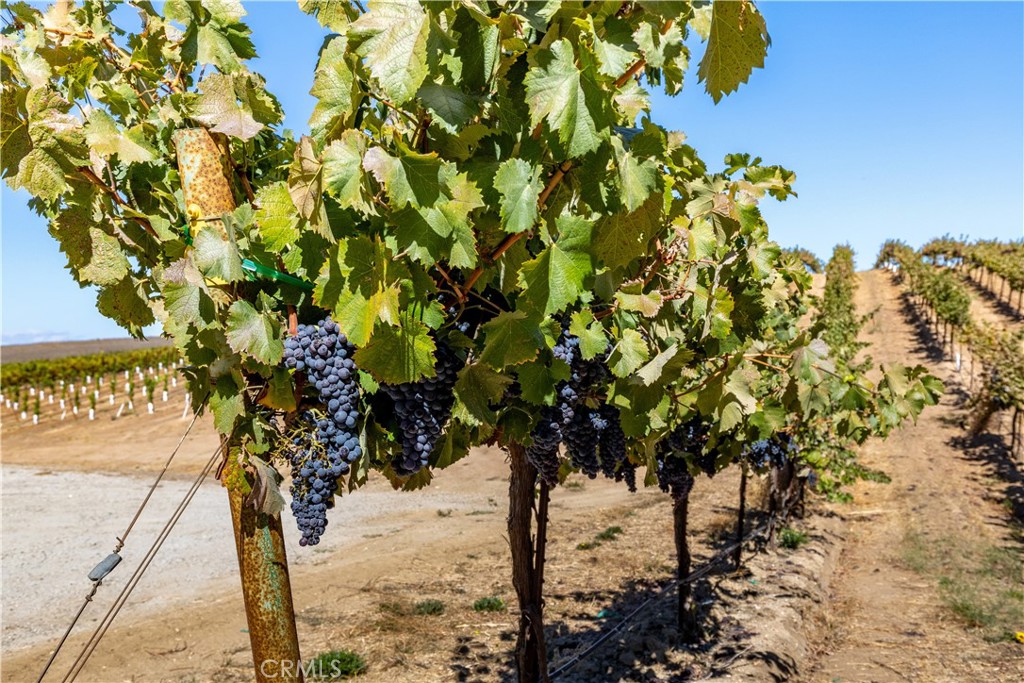 6944 Union Rd, Paso Robles, CA 93446