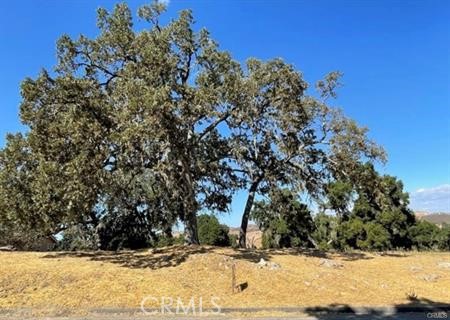 9970 Bluegill Dr, Paso Robles, CA 93446