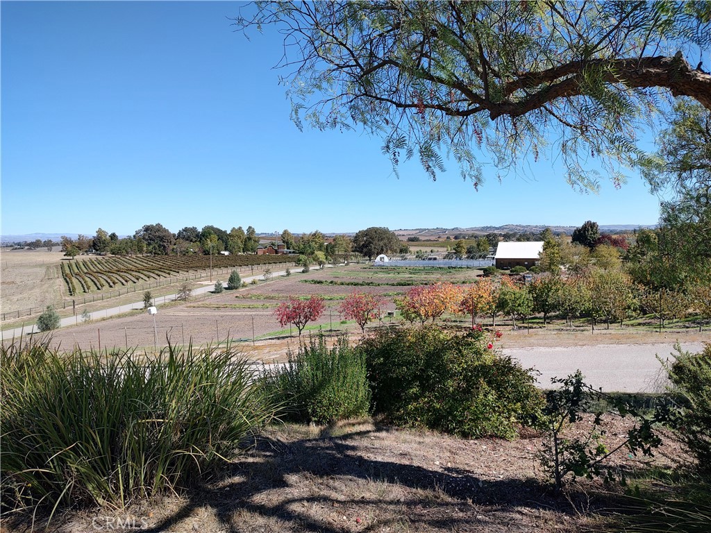 880 Tracy, Templeton, CA 93465