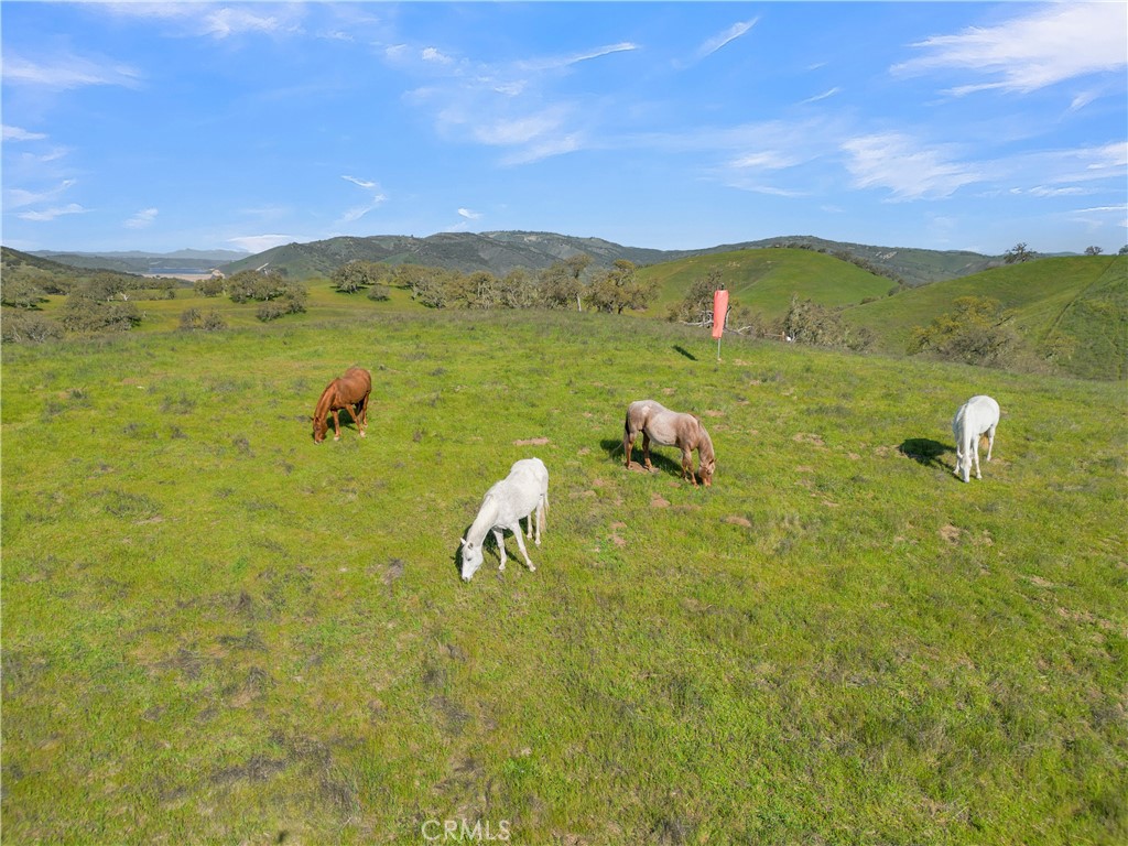 12000 Nacimiento Lake, Paso Robles, CA 93426