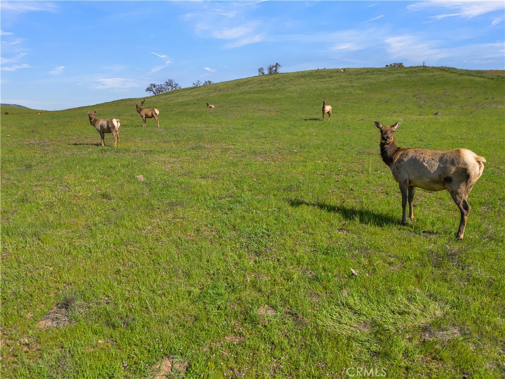 12000 Nacimiento Lake, Paso Robles, CA 93426