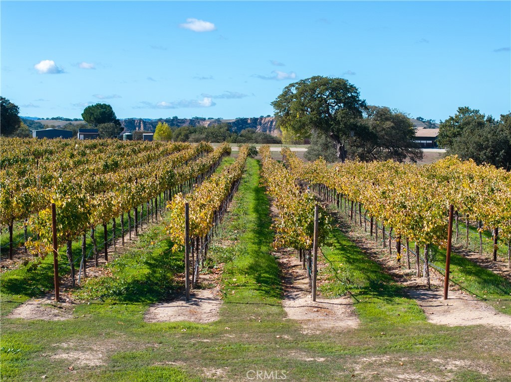 7790 Airport Rd, Paso Robles, CA 93446