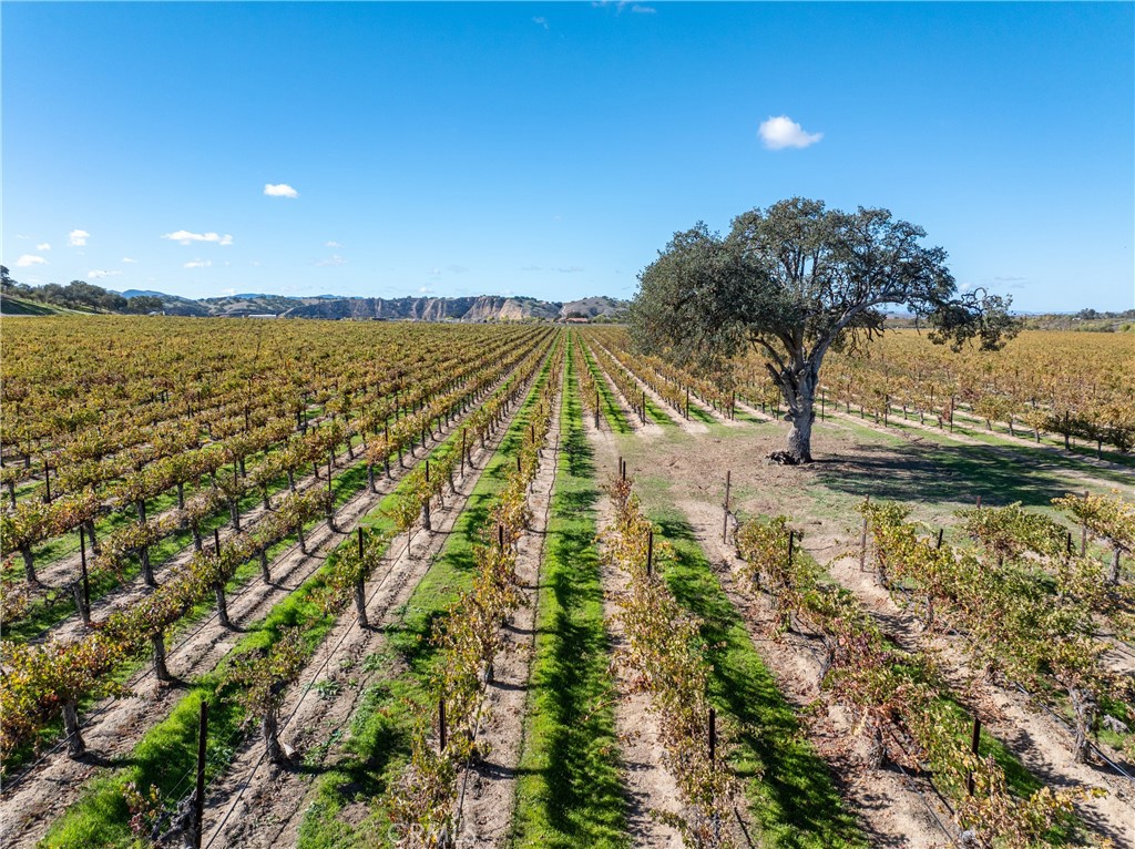 7790 Airport Rd, Paso Robles, CA 93446