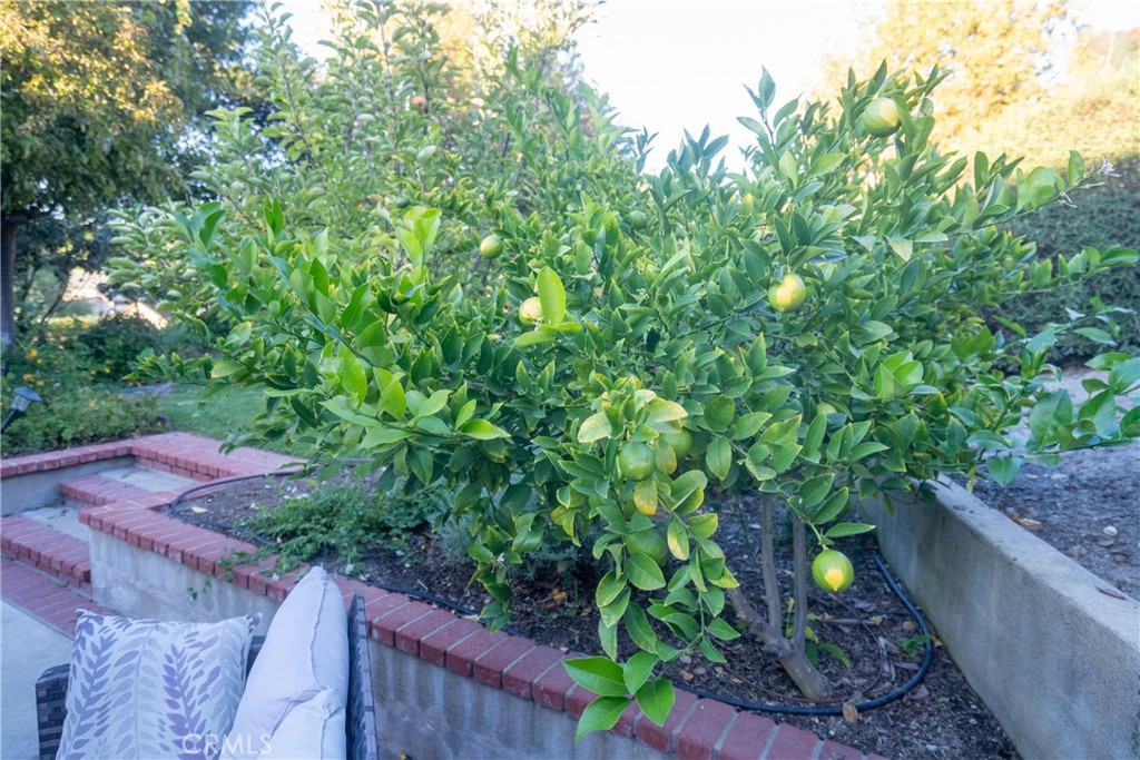 4125 Tranquilla, Atascadero, CA 93422