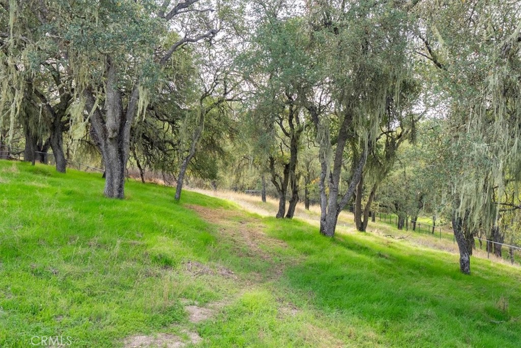 1505 Barley Grain, Paso Robles, CA 93446