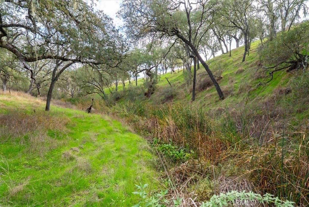 1505 Barley Grain, Paso Robles, CA 93446