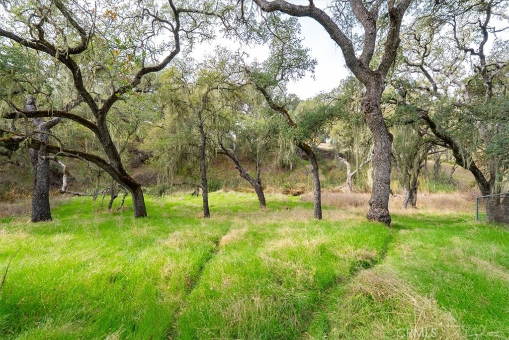 1505 Barley Grain, Paso Robles, CA 93446