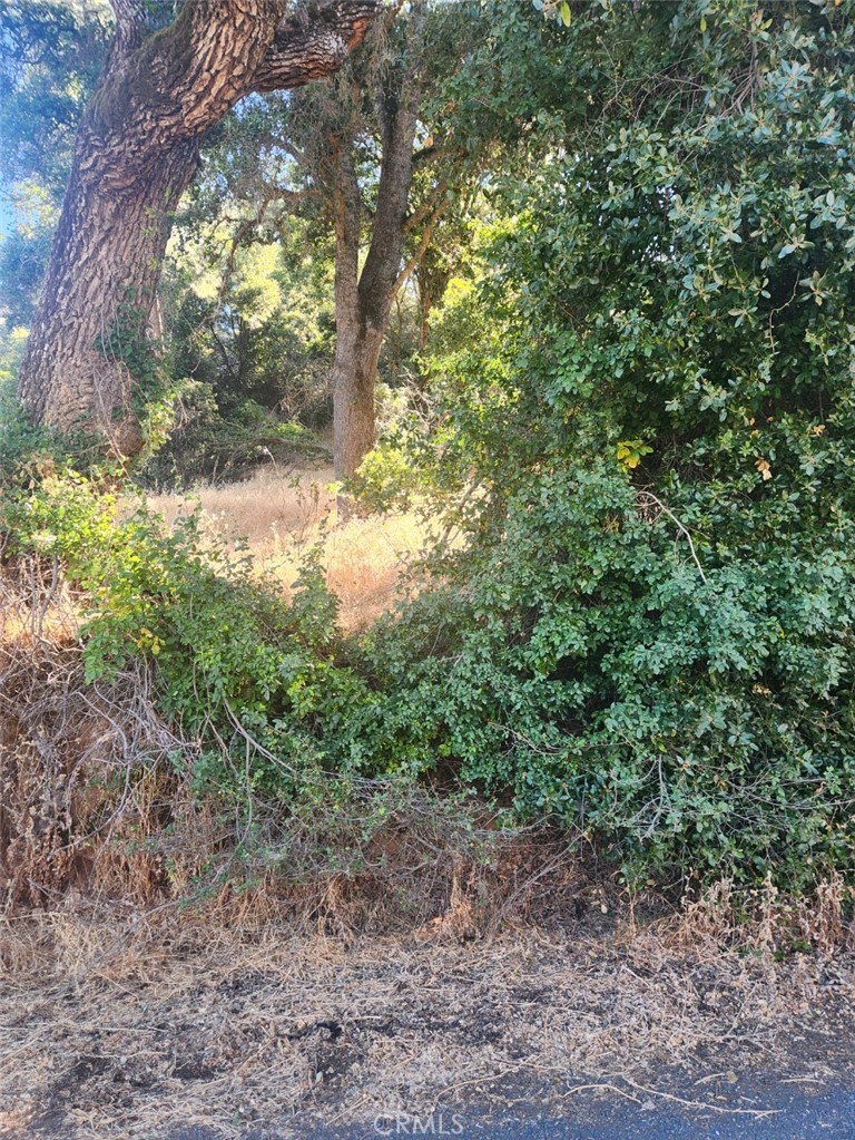 4010 Foothill, Lucerne, CA 95458