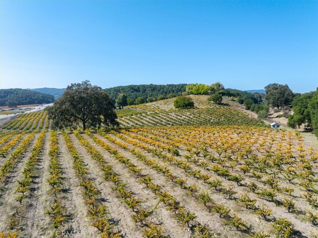 3750 W Highway 46, Templeton, CA 93465