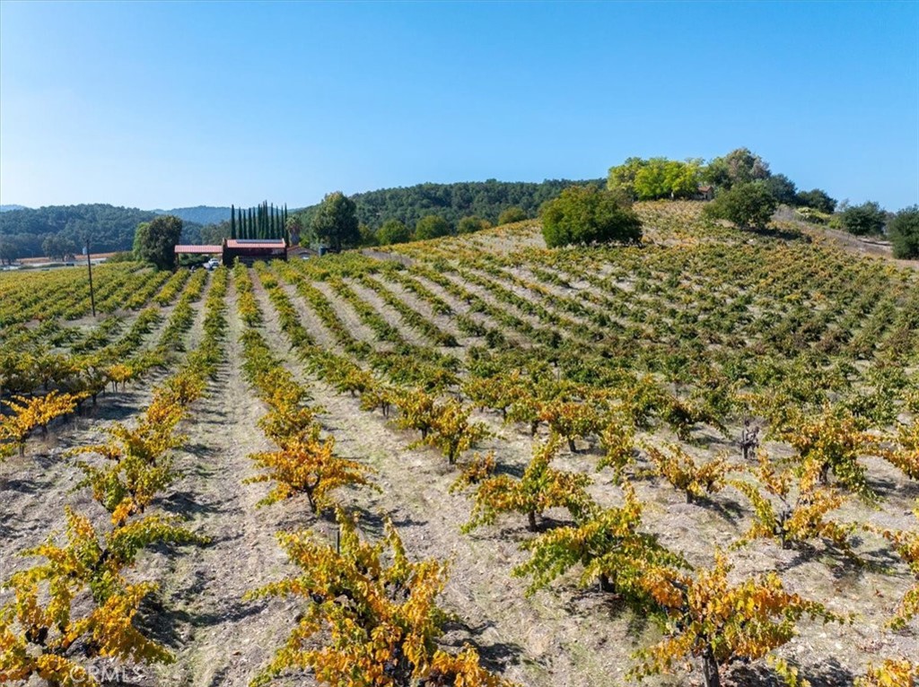 3750 W Highway 46, Templeton, CA 93465