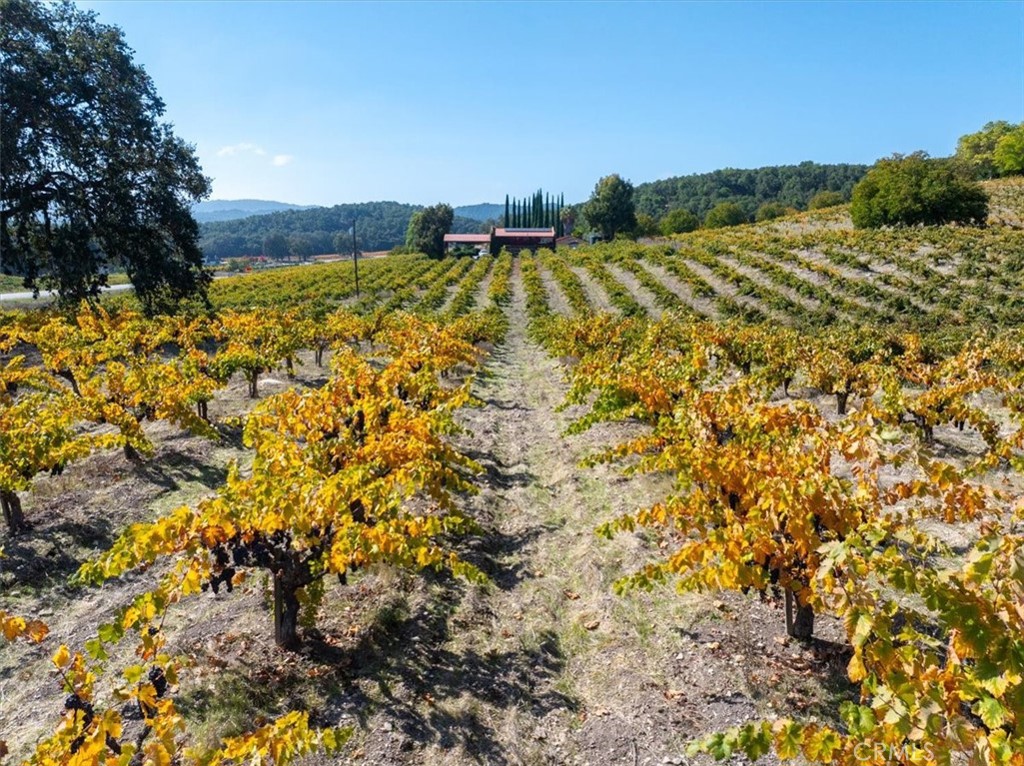 3750 W Highway 46, Templeton, CA 93465