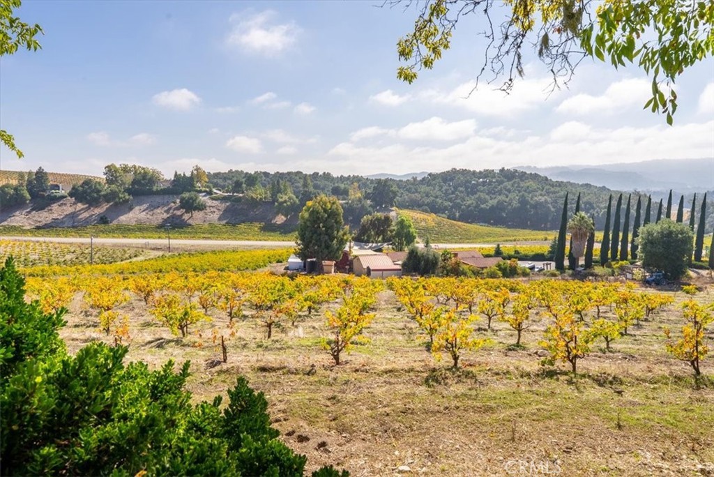 3750 W Highway 46, Templeton, CA 93465