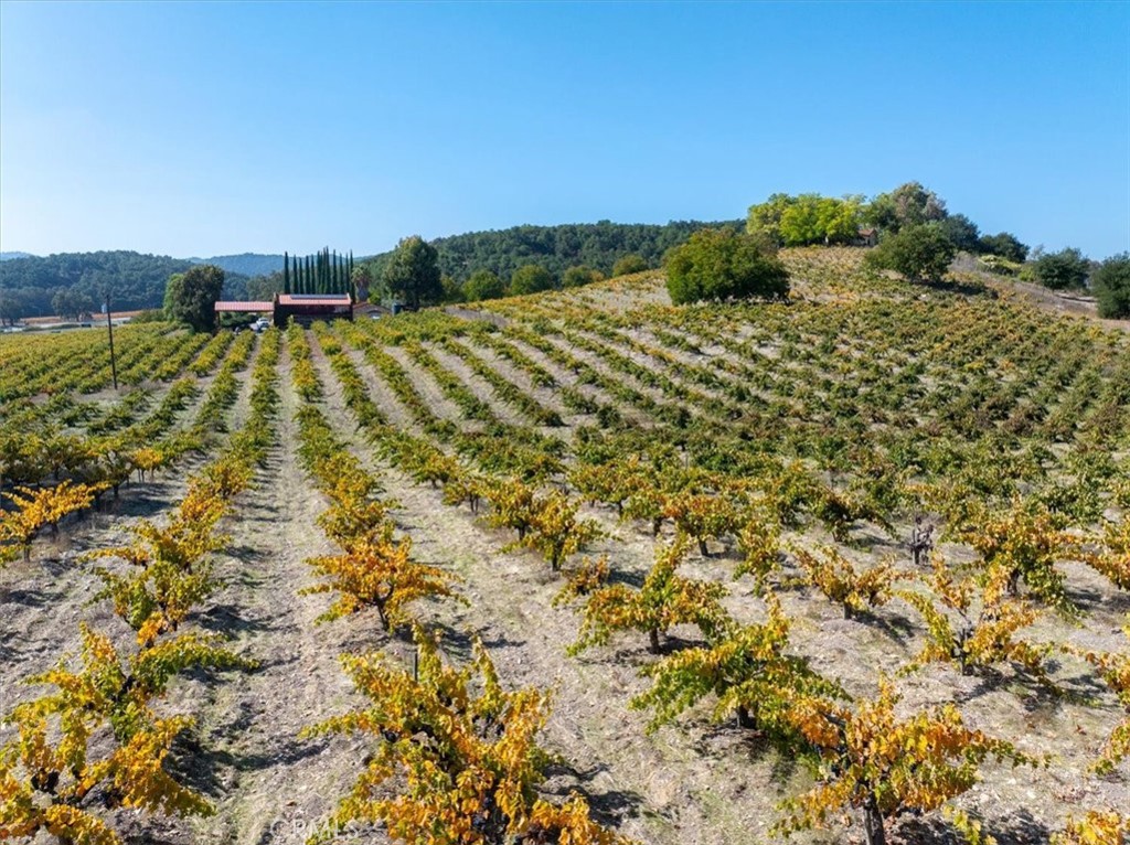 3750 W Highway 46, Templeton, CA 93465