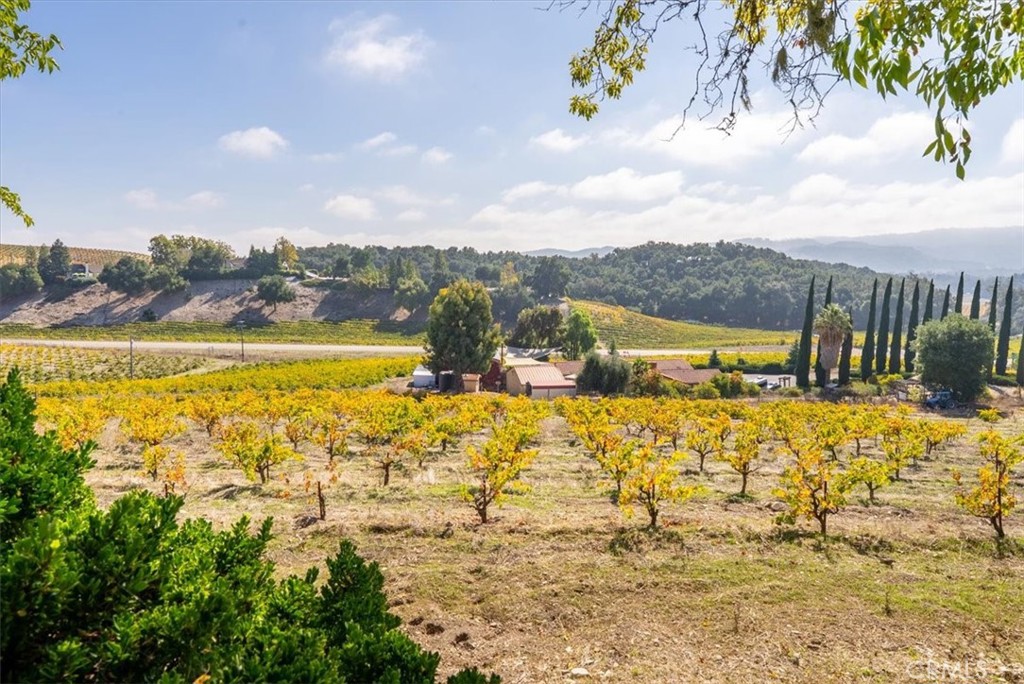 3750 W Highway 46, Templeton, CA 93465