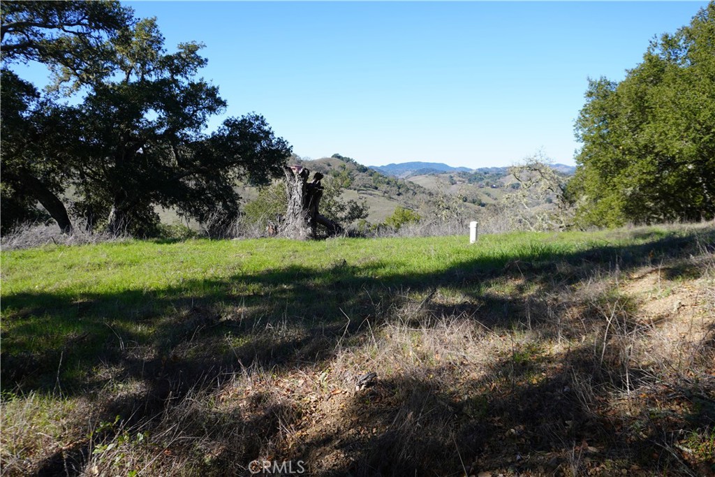 0 El Monte, Templeton, CA 93465