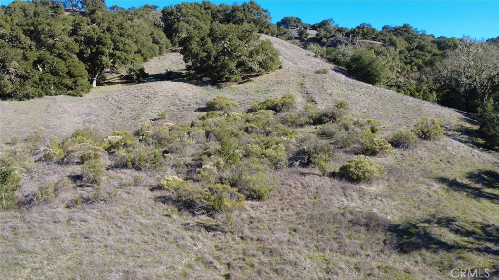 0 El Monte, Templeton, CA 93465