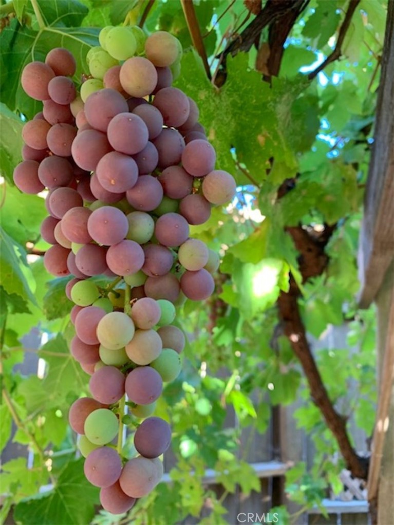 8425 Azucena, Atascadero, CA 93422