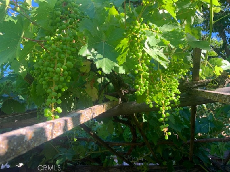 8425 Azucena, Atascadero, CA 93422