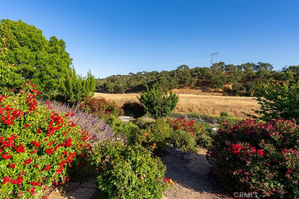 2035 Calle Pattito, Templeton, CA 93465