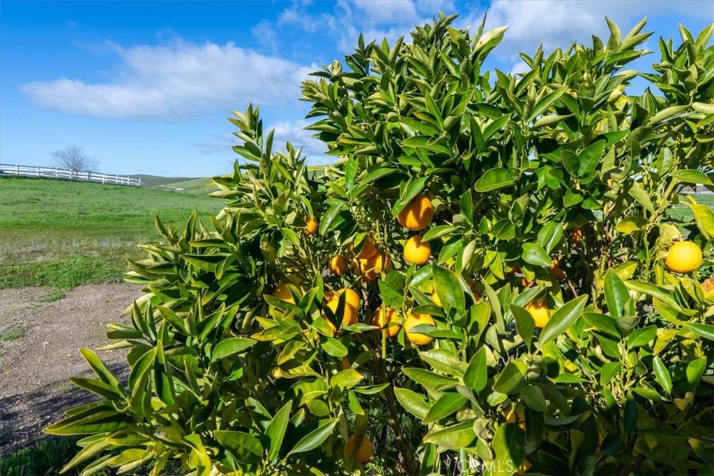 3940 Gruenhagen Flat Rd, Paso Robles, CA 93446