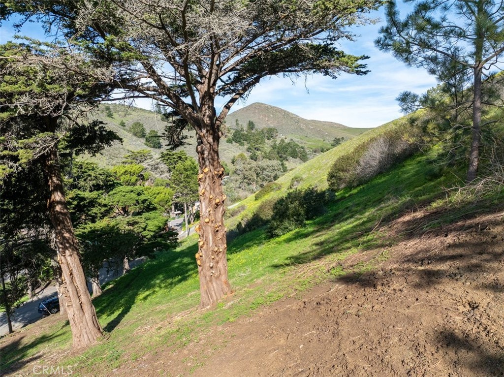 3064 Gilbert, Cayucos, CA 93430