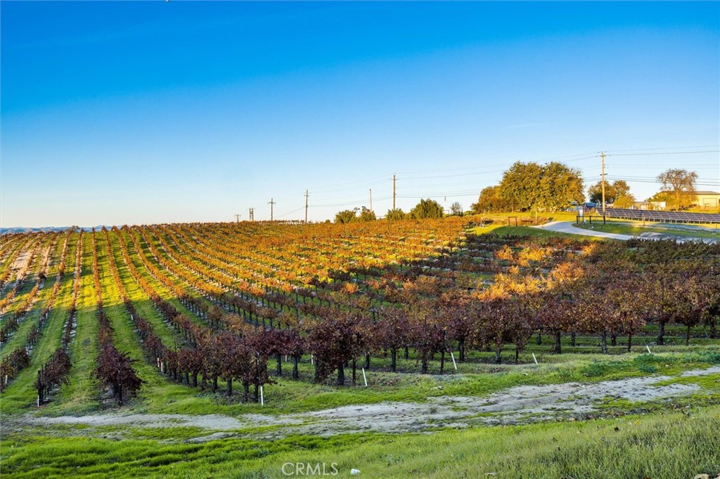 1985 Penman Springs, Paso Robles, CA 93446