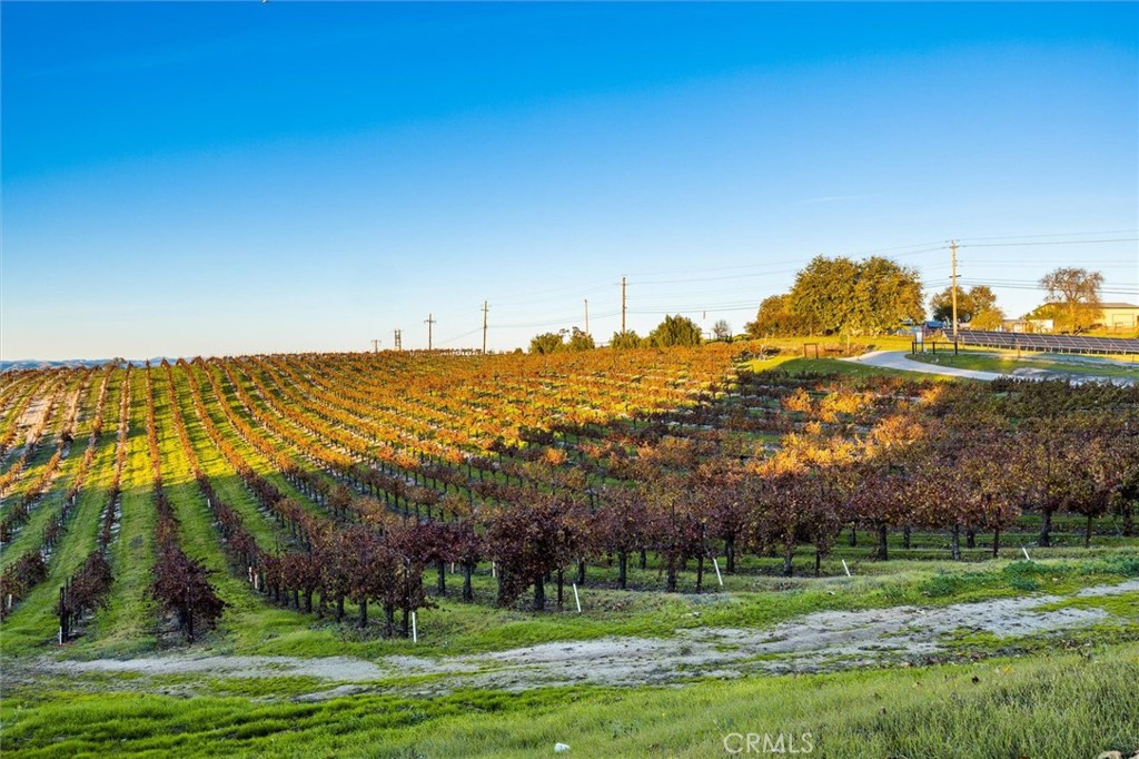 1985 Penman Springs, Paso Robles, CA 93446