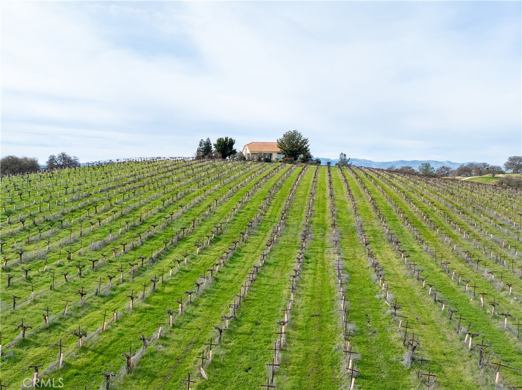 4774 Mill Road, Paso Robles, CA 93446