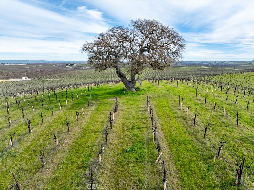 4774 Mill Road, Paso Robles, CA 93446