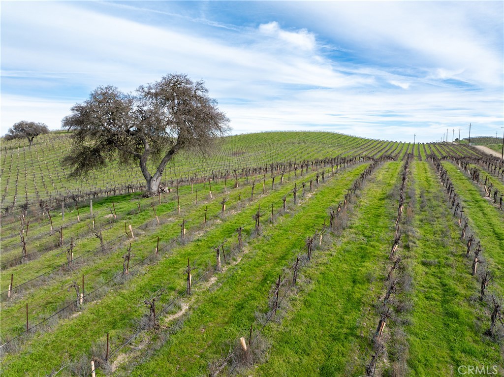 4774 Mill Road, Paso Robles, CA 93446