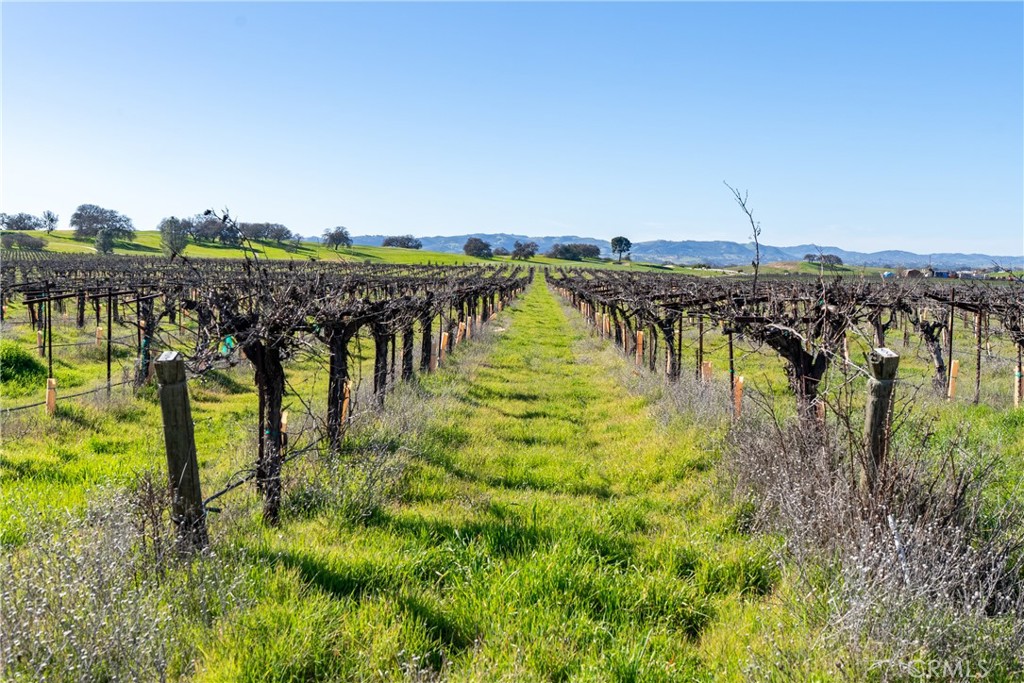 4774 Mill Road, Paso Robles, CA 93446