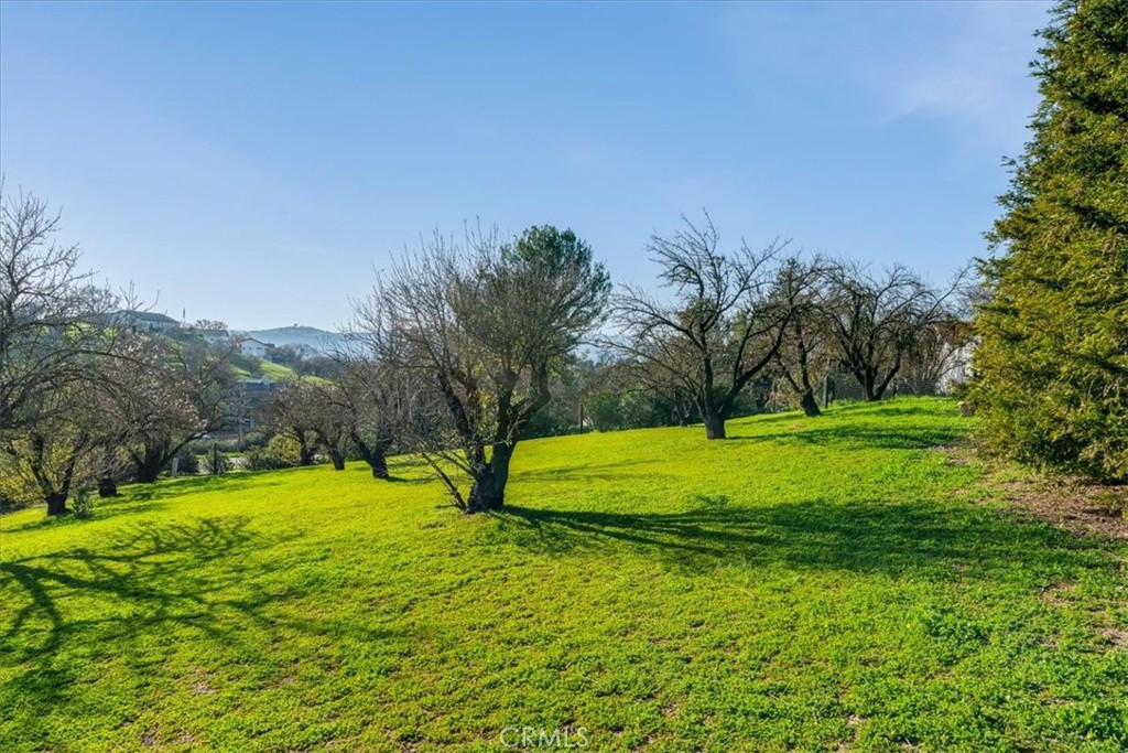 1555 Lyle, Paso Robles, CA 93446