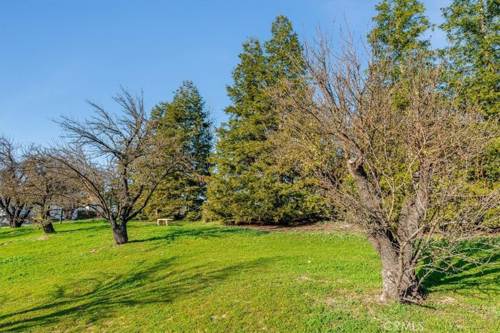 1555 Lyle, Paso Robles, CA 93446