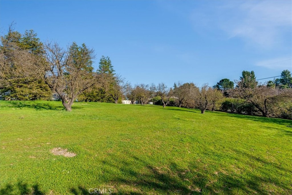 1555 Lyle, Paso Robles, CA 93446