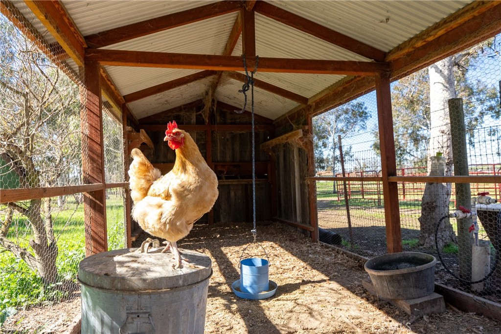 7686 Feenstra Road, Paso Robles, CA 93446