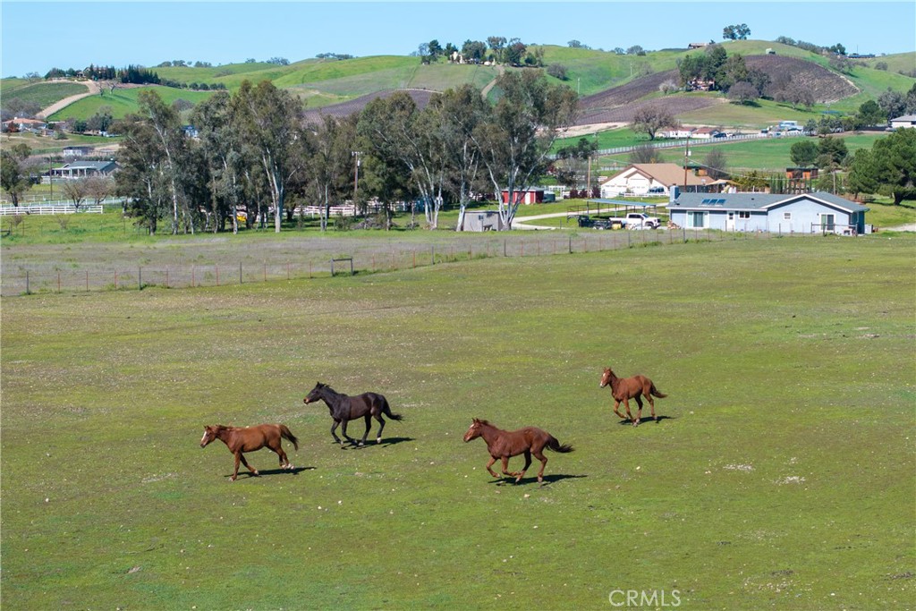 7686 Feenstra Road, Paso Robles, CA 93446