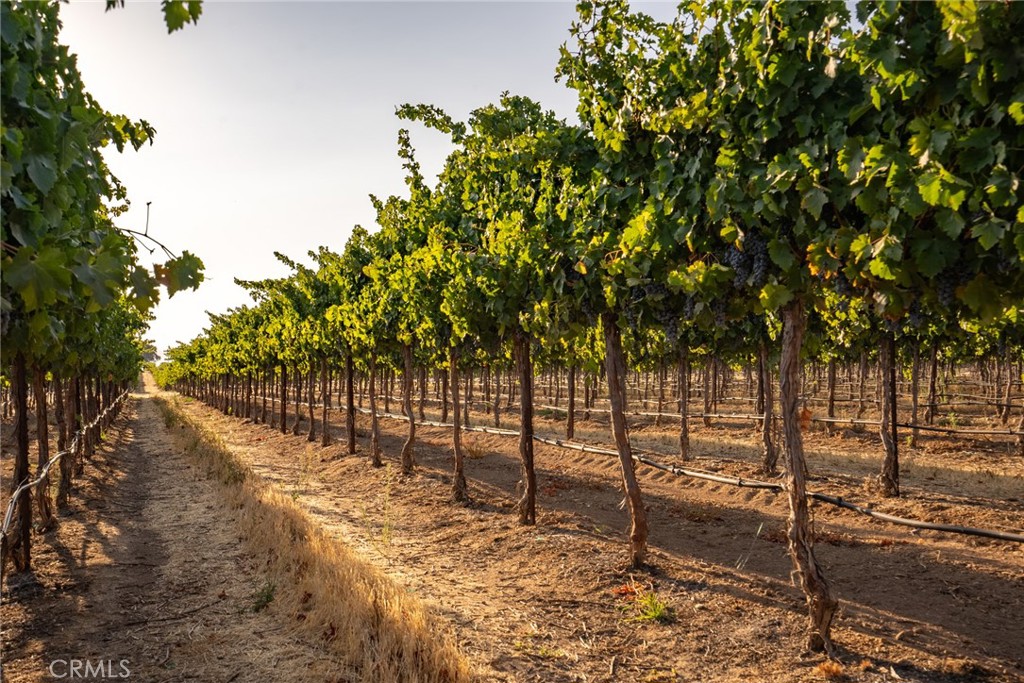 7010 Wilderness Ln, Paso Robles, CA 93446