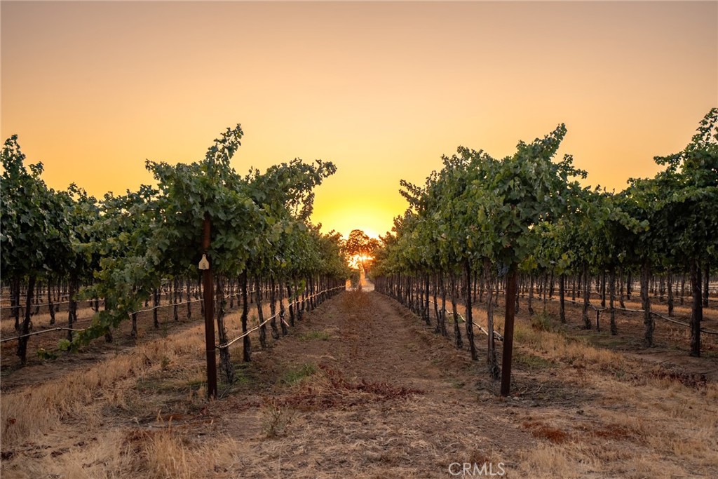 7010 Wilderness Ln, Paso Robles, CA 93446