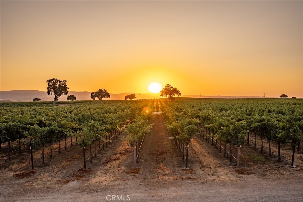 7010 Wilderness Ln, Paso Robles, CA 93446