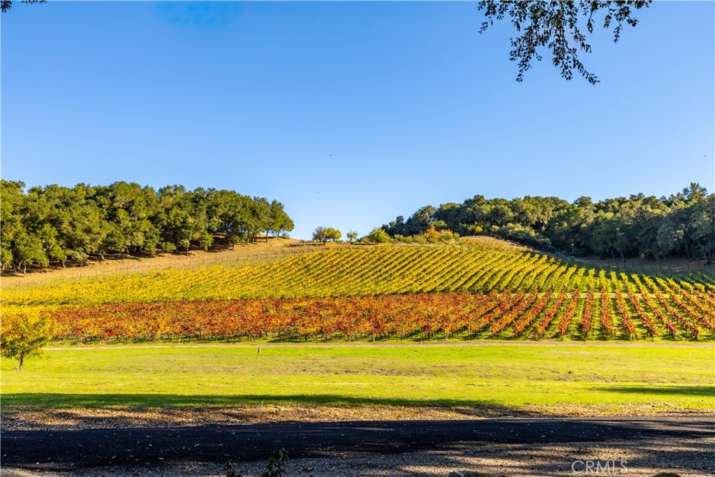 1545 Willow Creek, Paso Robles, CA 93446