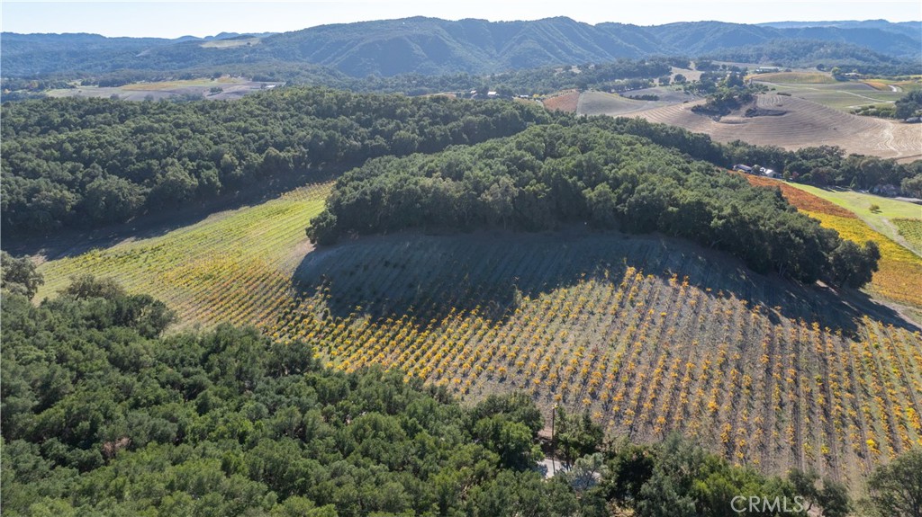 1545 Willow Creek, Paso Robles, CA 93446