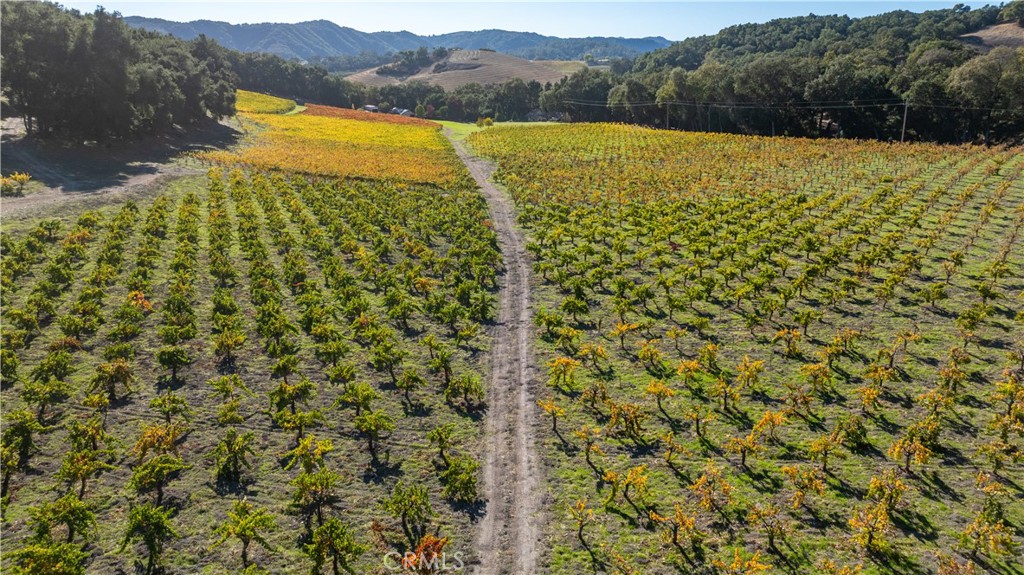 1545 Willow Creek, Paso Robles, CA 93446