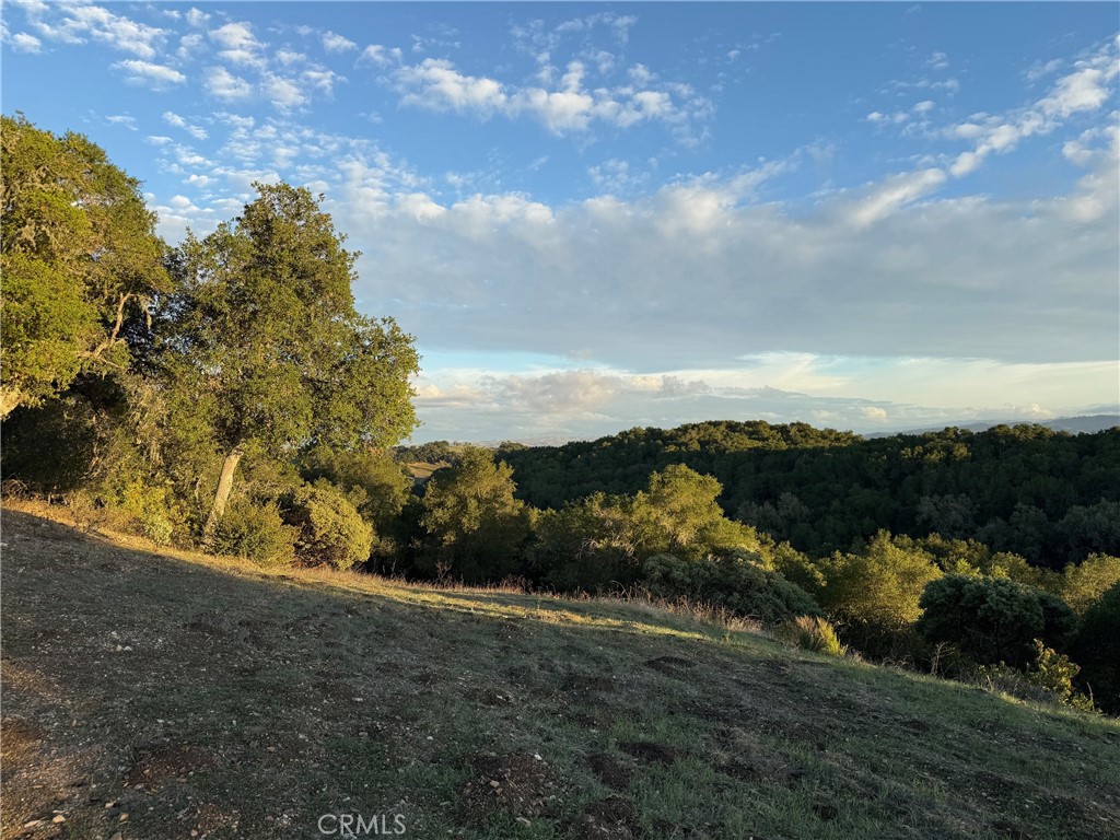 1545 Willow Creek, Paso Robles, CA 93446