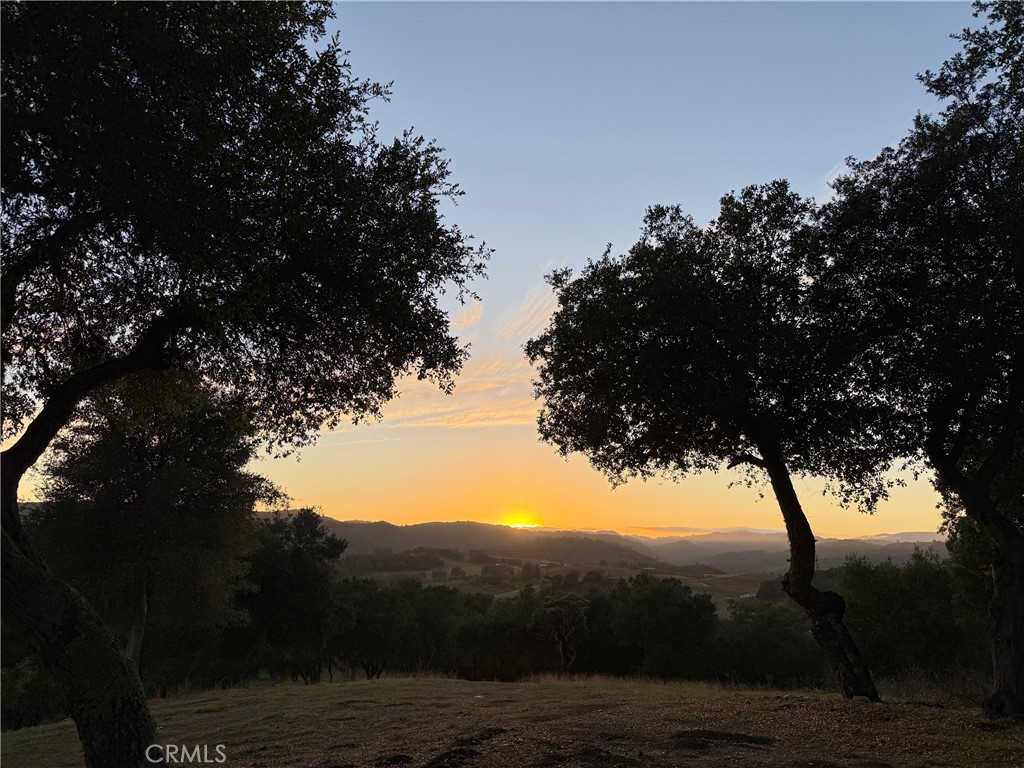 1545 Willow Creek, Paso Robles, CA 93446