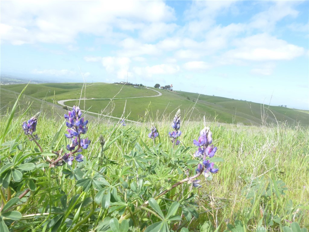 0 Yosemite Pl, Paso Robles, CA 93446