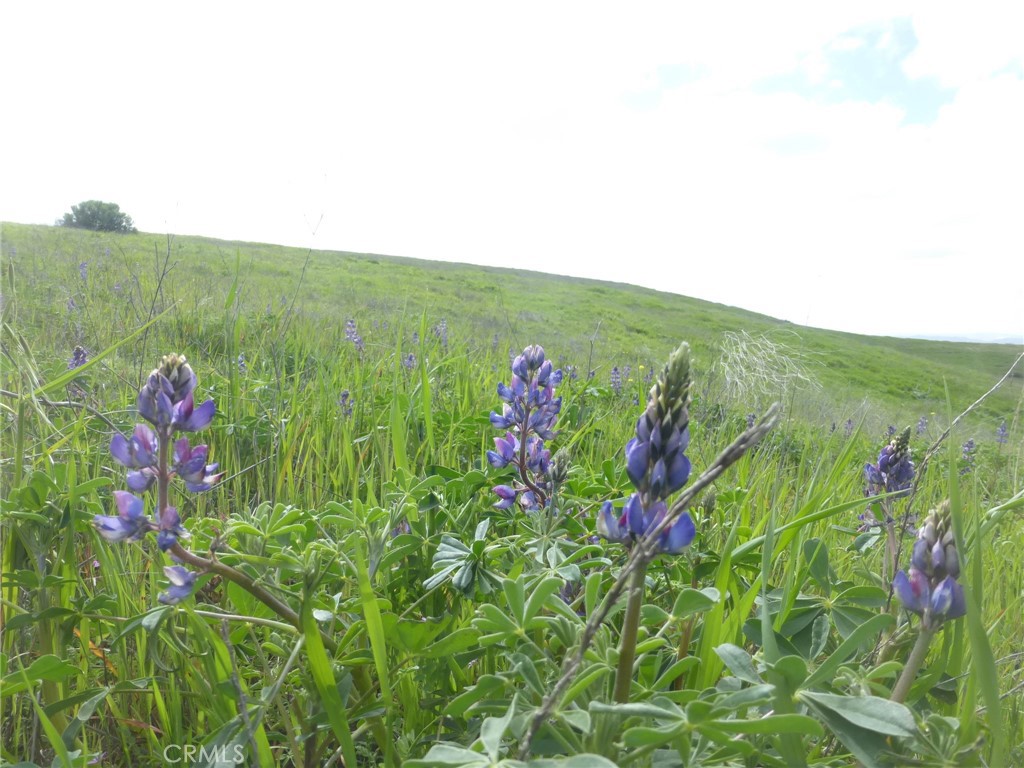 0 Yosemite Pl, Paso Robles, CA 93446