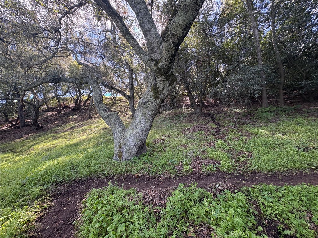 12000 San Marcos, Atascadero, CA 93422